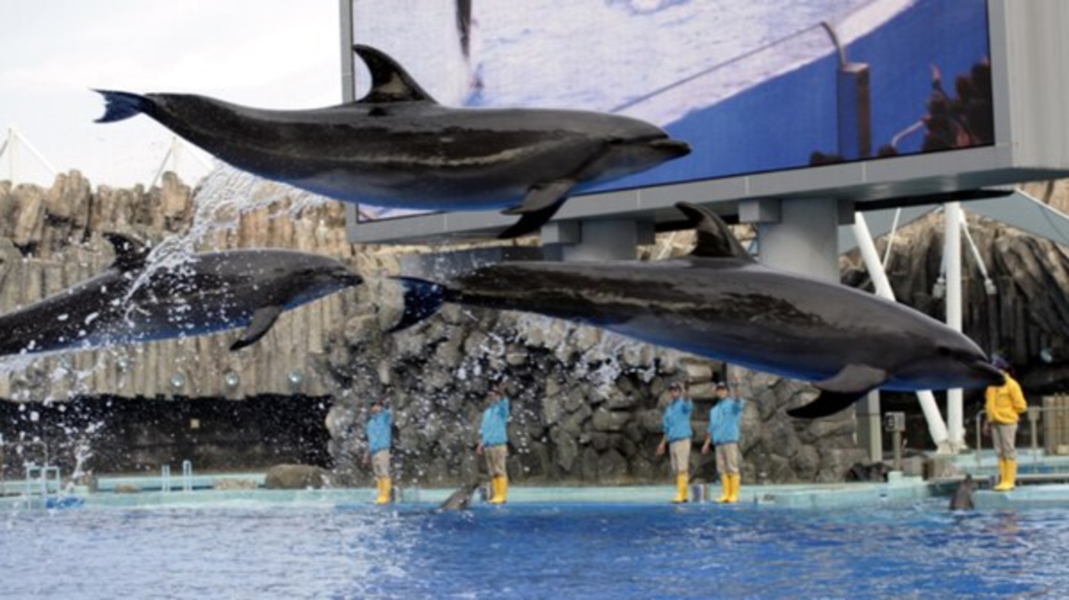 名古屋港水族館