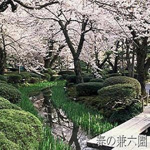 【春の兼六園】/お車で60分