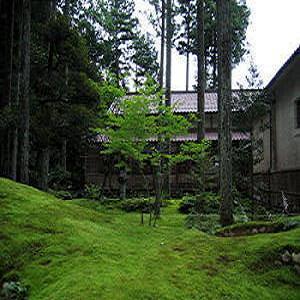【苔の園】/お車で10分