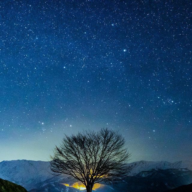 夜に山へ上がって、満天の星空を楽しめる「天空の天体ショー」（8月限定！）