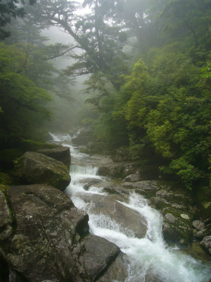 白谷雲水峡