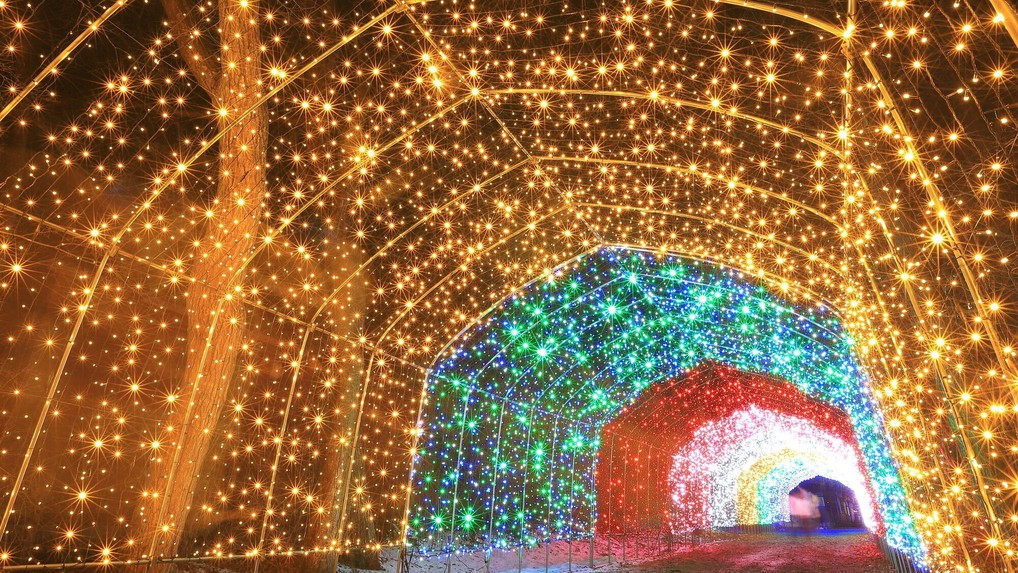 KOIWAI Winter Lights 銀河農場の夜 2024 ※イメージ