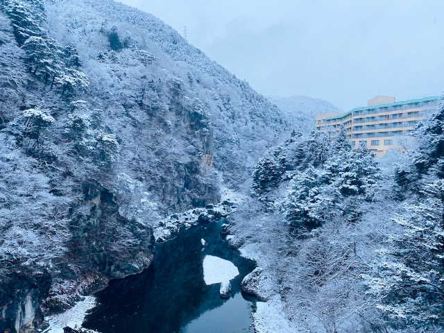 冬の鬼怒川ロイヤルホテル