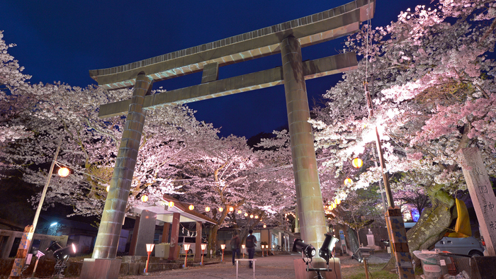 鬼怒川護国神社夜桜ライトアップ