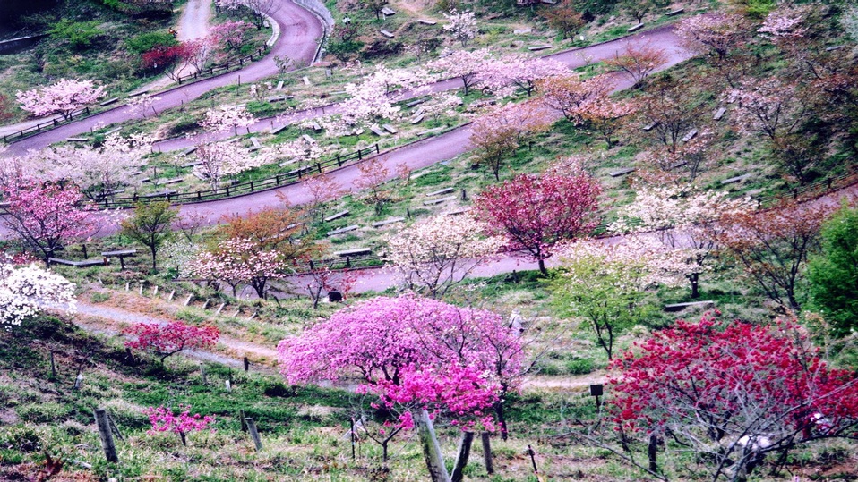 桜華園