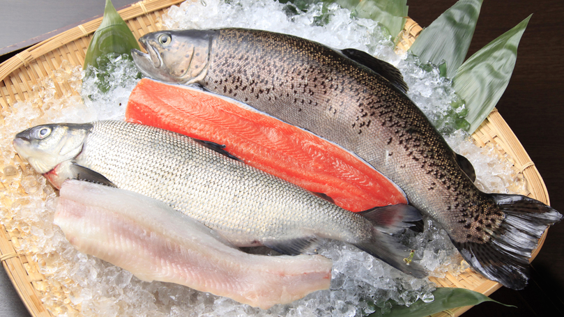 新鮮な川魚や名物の鯉