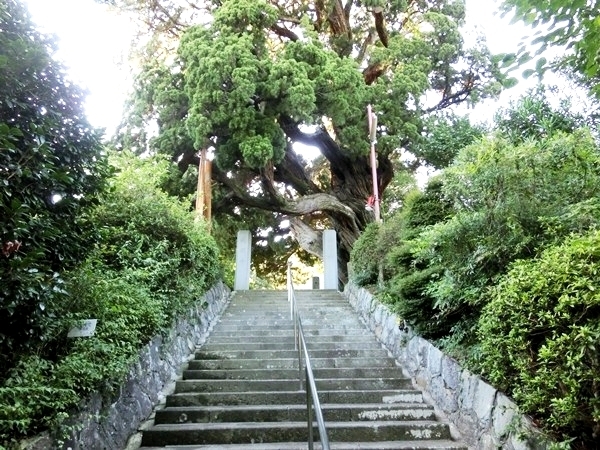 城願寺階段