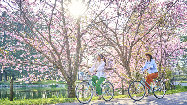 【ホテルエリア】春には桜の見どころスポットをサイクリングで周遊。