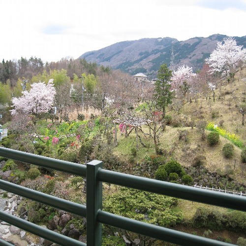 客室よりの眺め