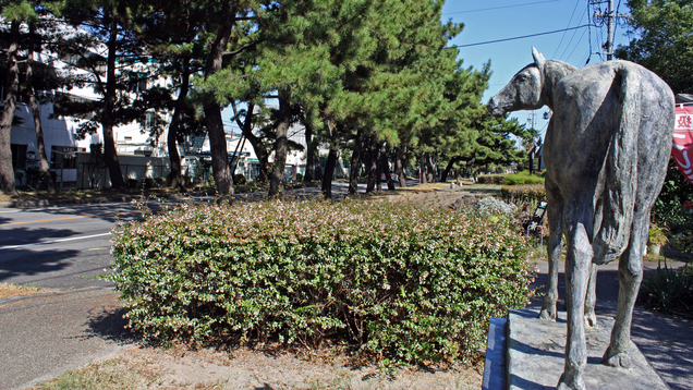 旧東海道 知立松並木