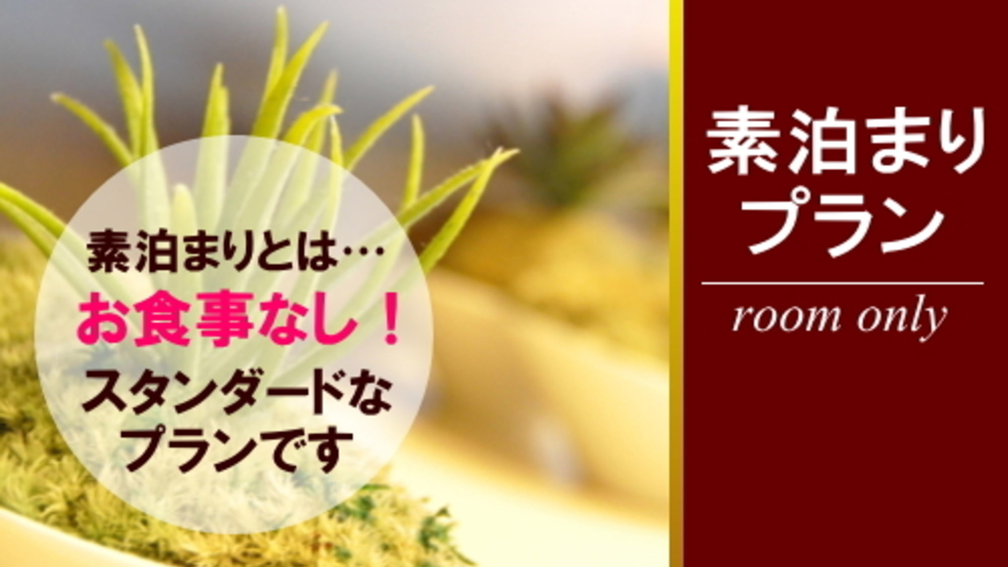 シンプル素泊まりプラン