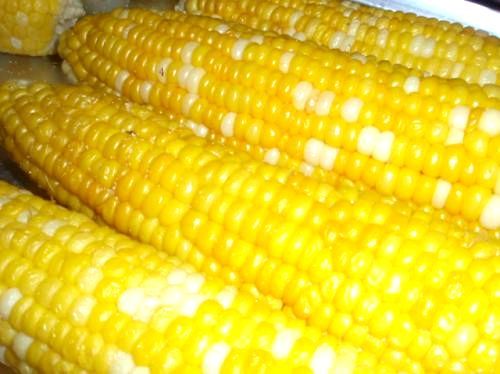 トウモロコシ