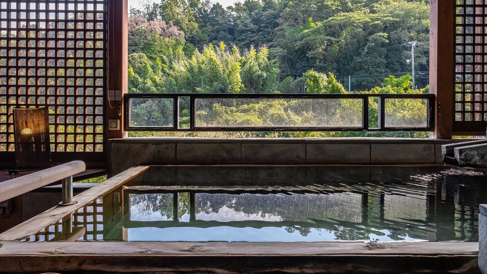 【Ｇタイプ：漱石】広々した和室に、川のせせらぎや山々が見渡せる絶景の露天風呂