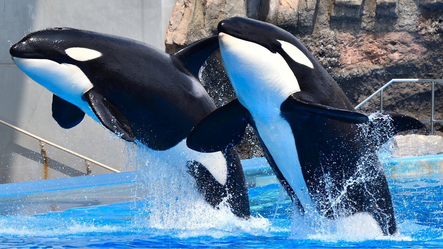 名古屋港水族館