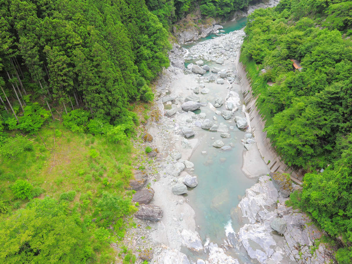 祖谷川は神秘の緑をたたえ、来る人々の目を、心を必ず癒してくれます