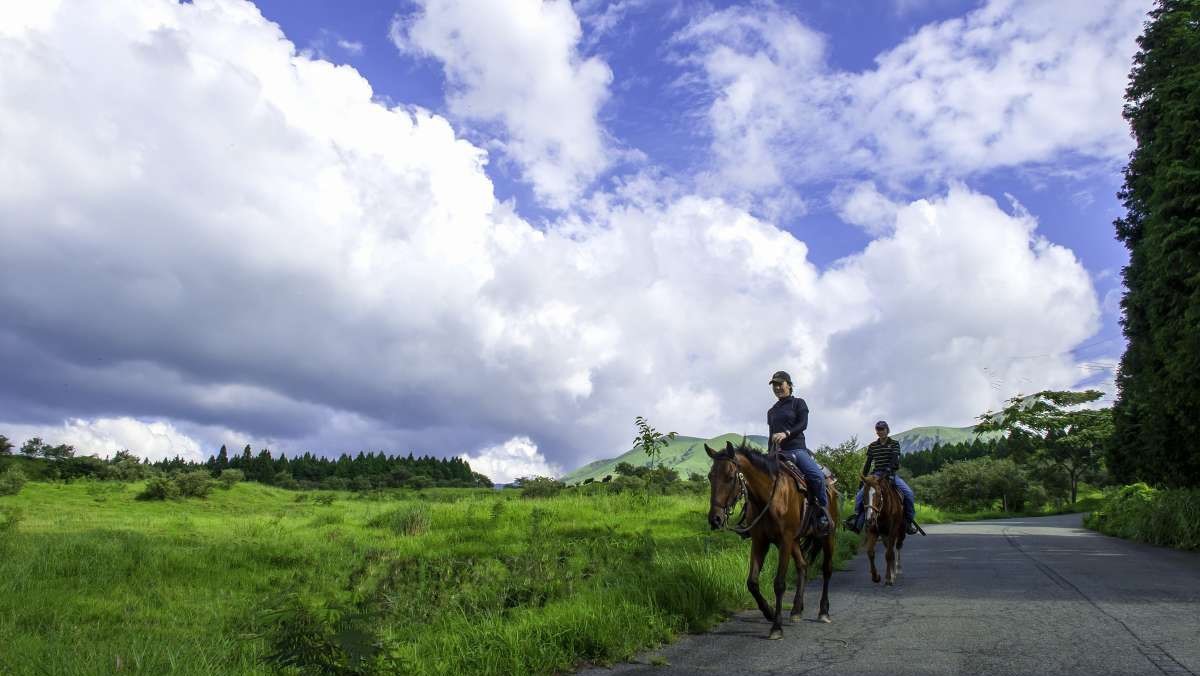 阿蘇ハイランド乗馬クラブのお昼の乗馬風景です。