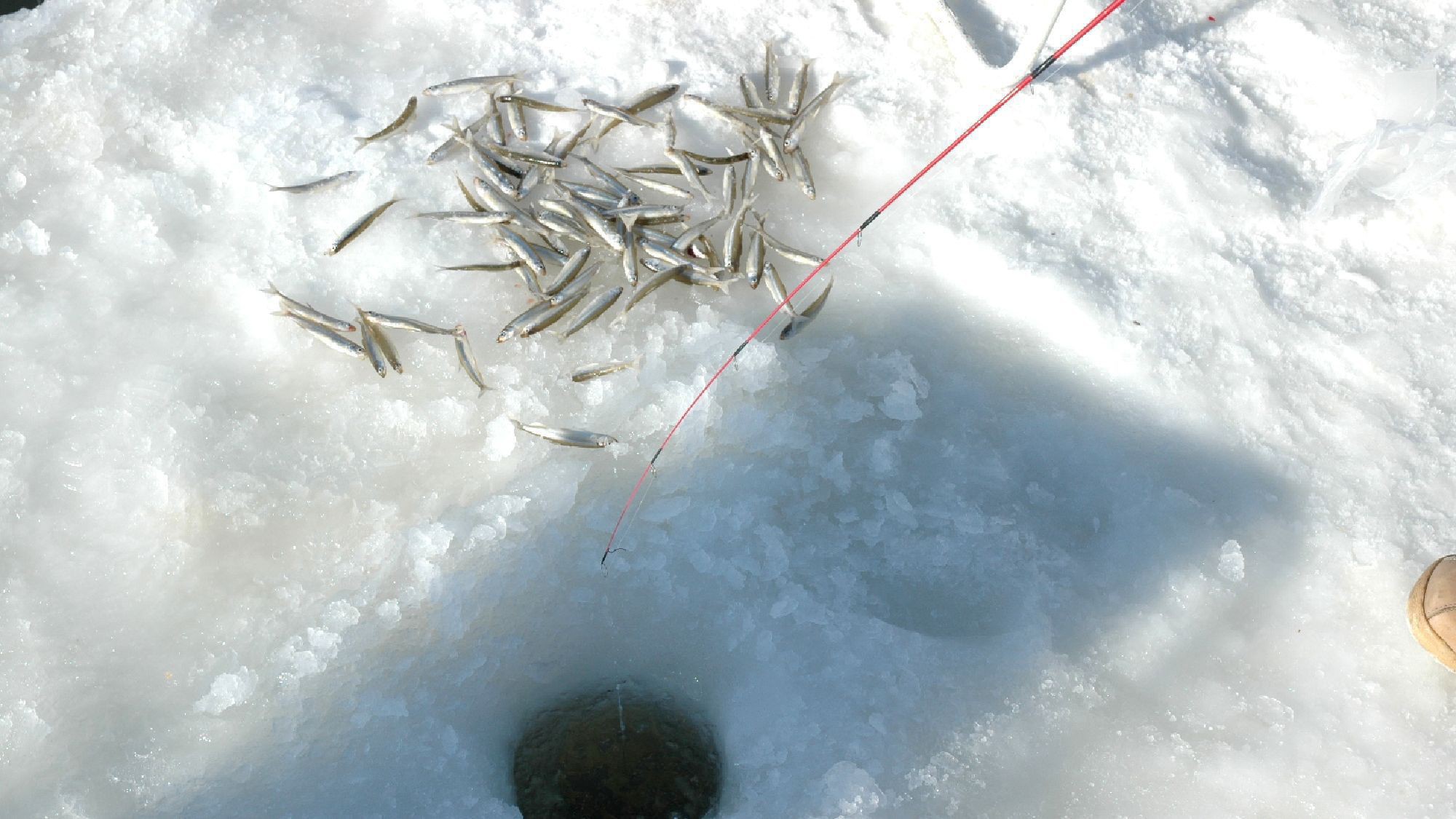 わかさぎ釣り／結氷した網走湖に穴をあけてわかさぎを釣ります。網走ならではのアクティビティ体験！