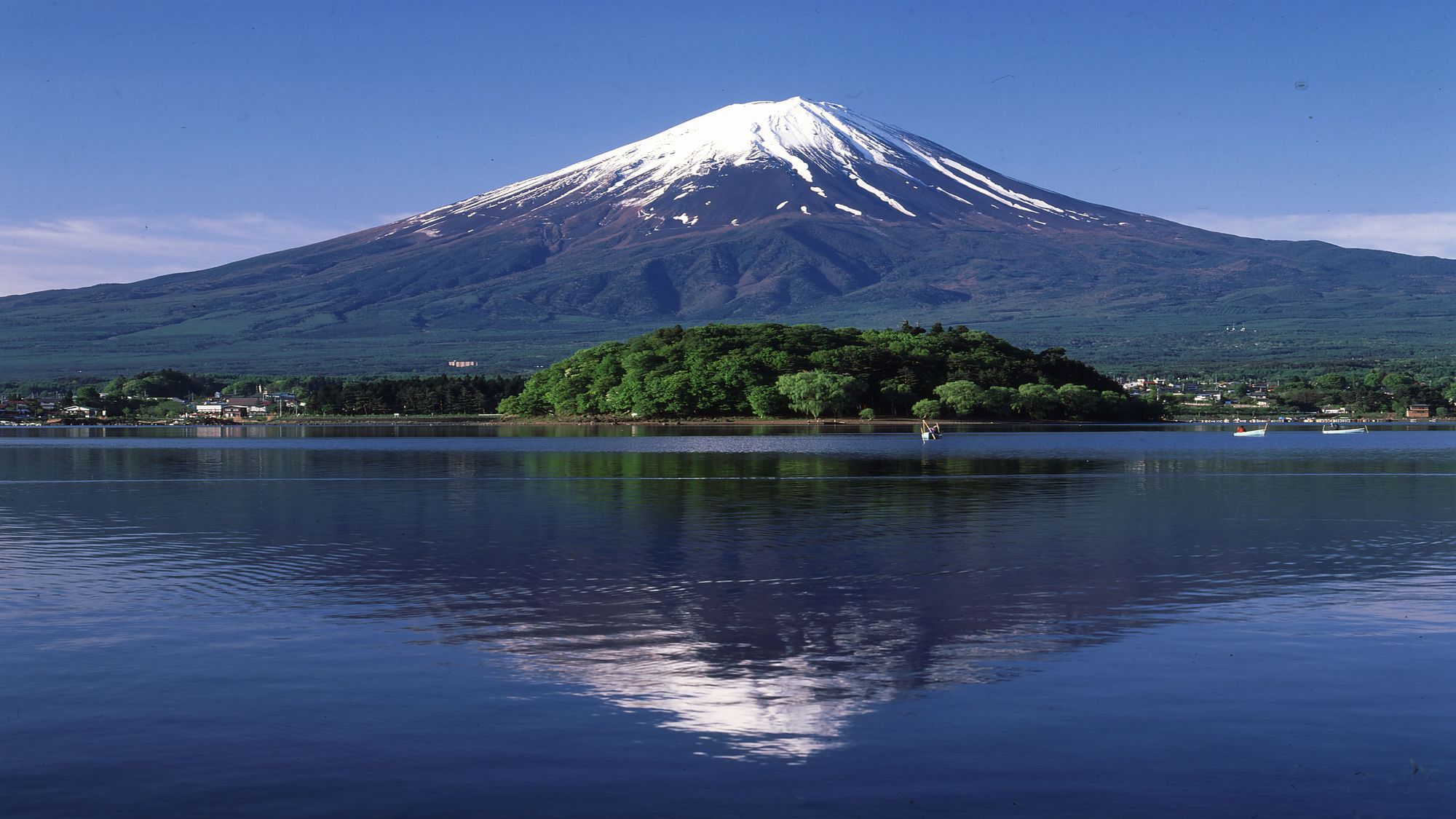 富士山と河口湖＜春＞（写真提供：富士河口湖観光課）