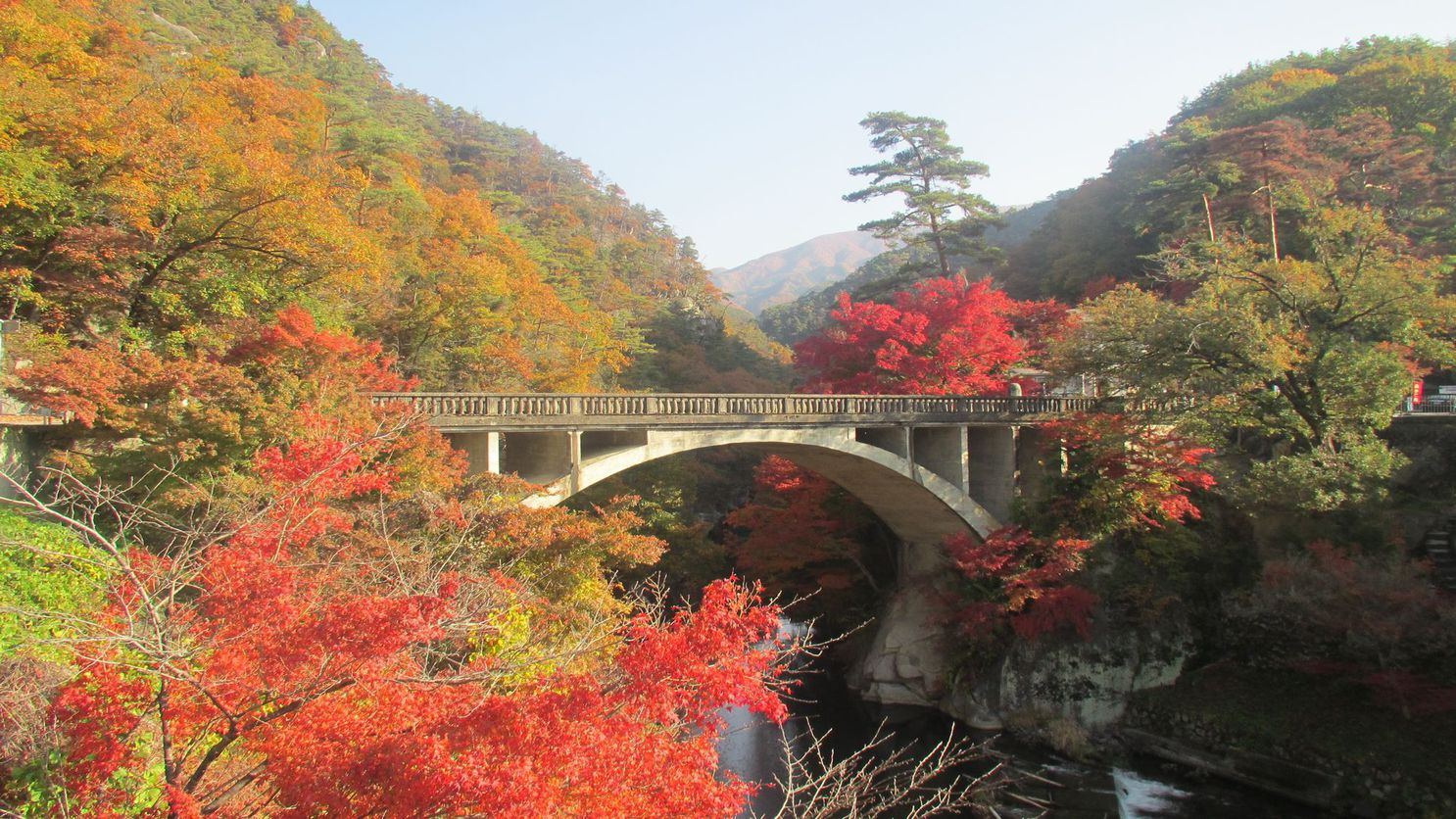 紅葉/長とろ橋（写真提供：甲府観光協会）