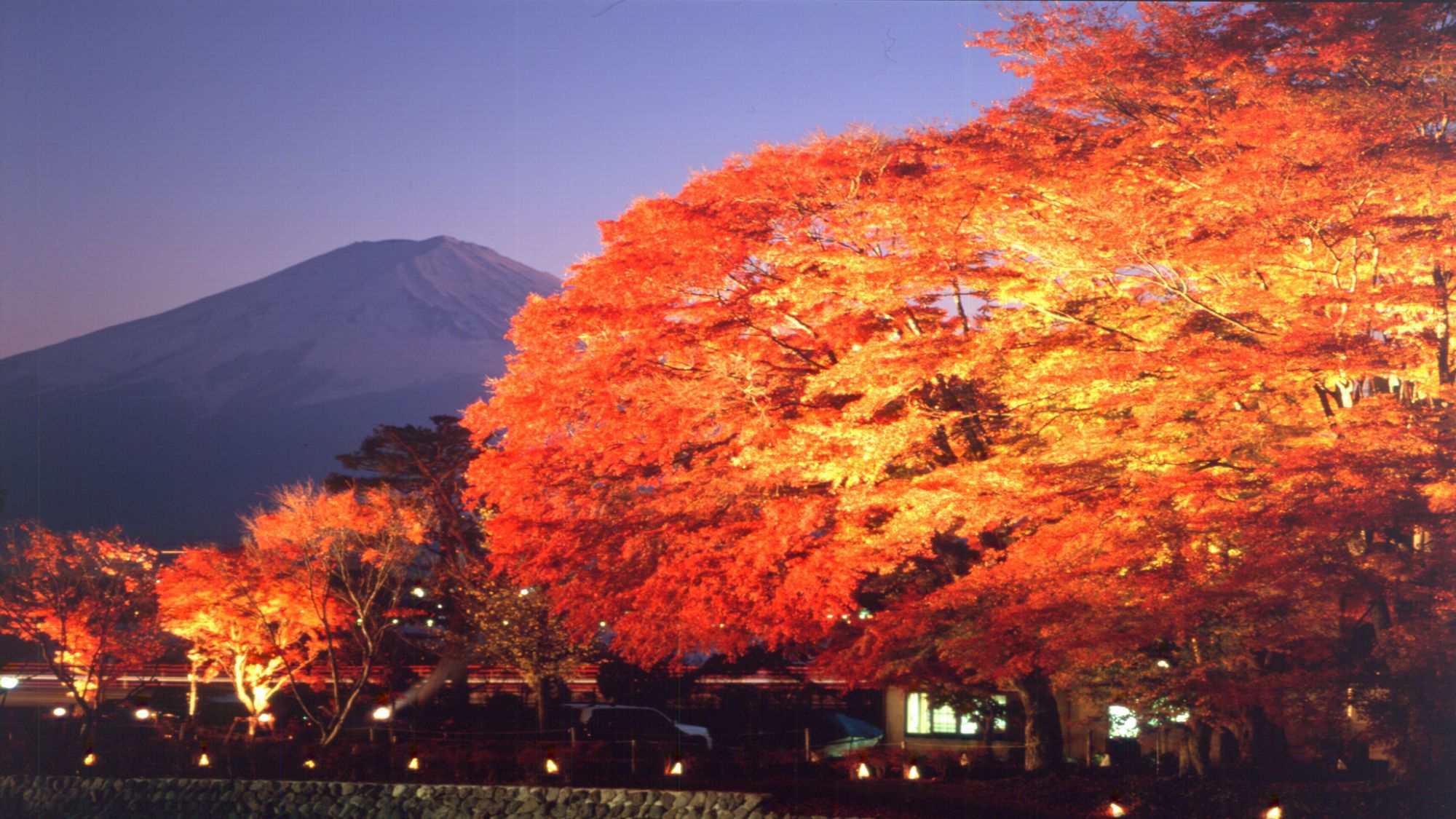 河口湖（紅葉）＜秋＞（写真提供：富士河口湖観光課）