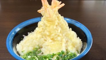 海老天うどん