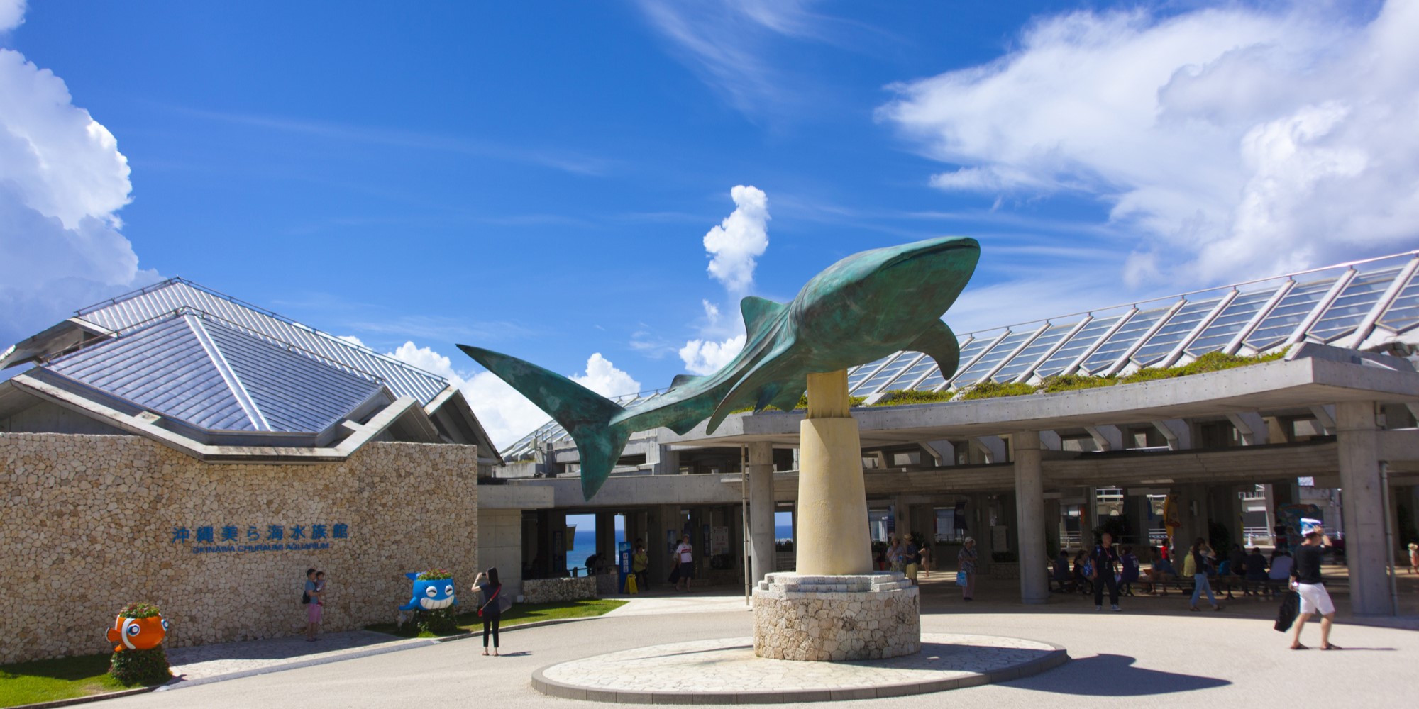 美ら海水族館