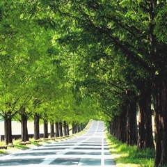 �y�f�v12���Ԃ����̓��ʃv�����z�[�H�̓o�C�L���O�@2�H�t