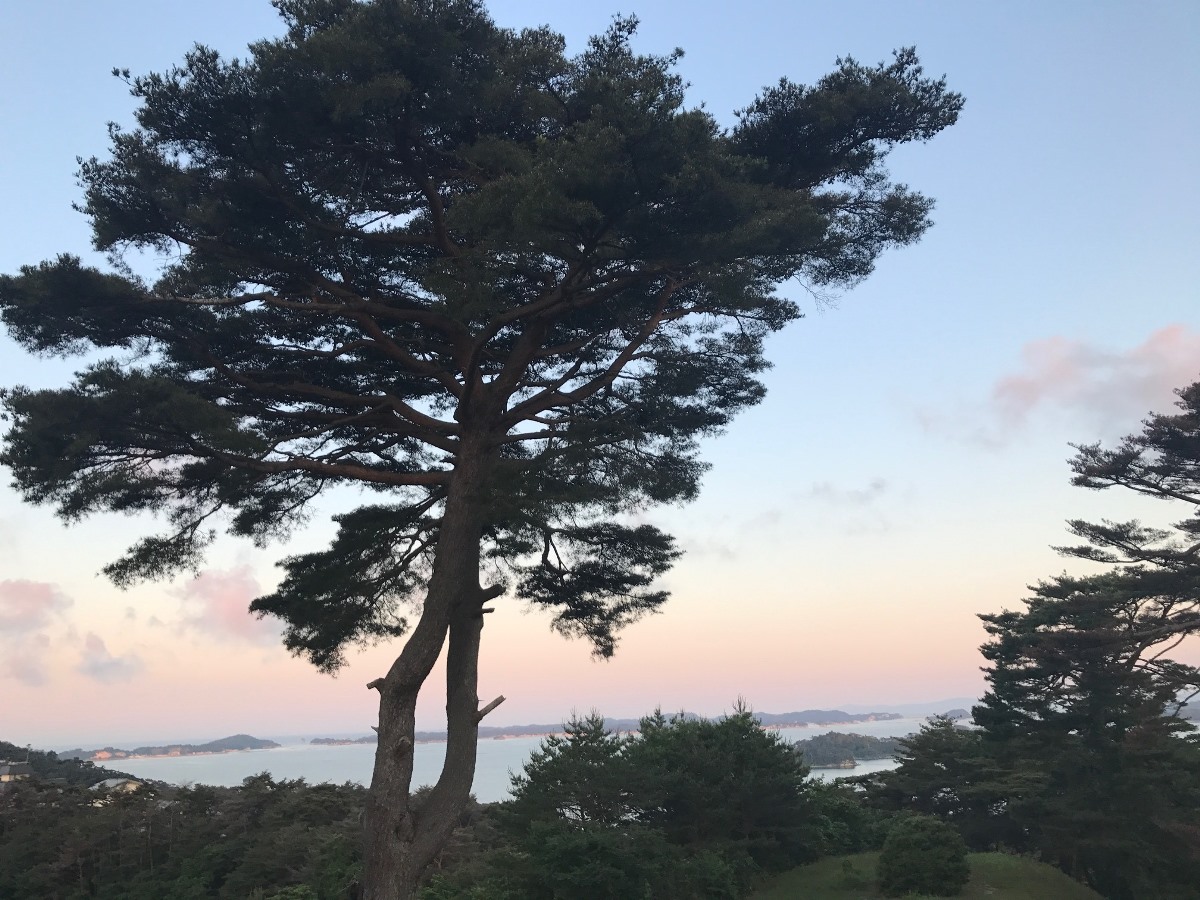 夏の夕暮れ西行戻しの松公園