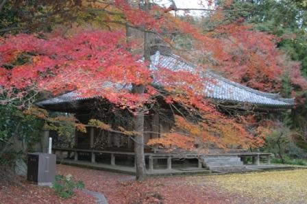 【周辺の魅力】富貴寺
