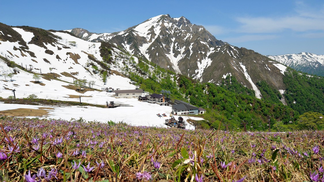 谷川岳(春)