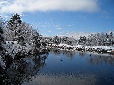 歩いてすぐの鹿の池。4月に雪が降った時に撮りました。白樺林を抜けてすぐ行けますよ。