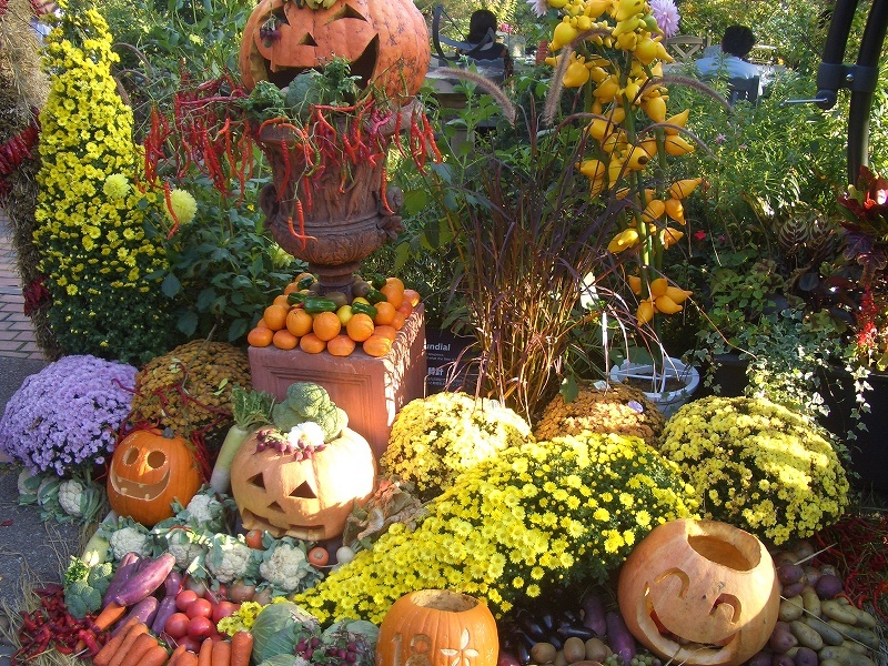 ハロウインの飾りは秋の収穫祭と重なり、八ヶ岳の風物詩です。