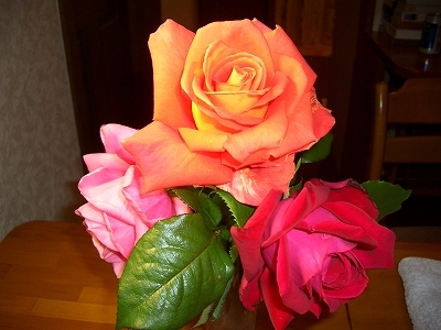 館内のバラには私が育てたバラ以外にもご近所のおすそわけも。心惹かれる姿、色です。