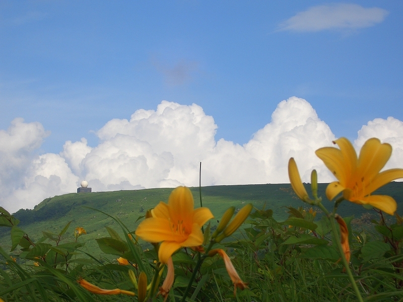 百合と雲7月の風景です。ここは日本じゃないみたい・・・