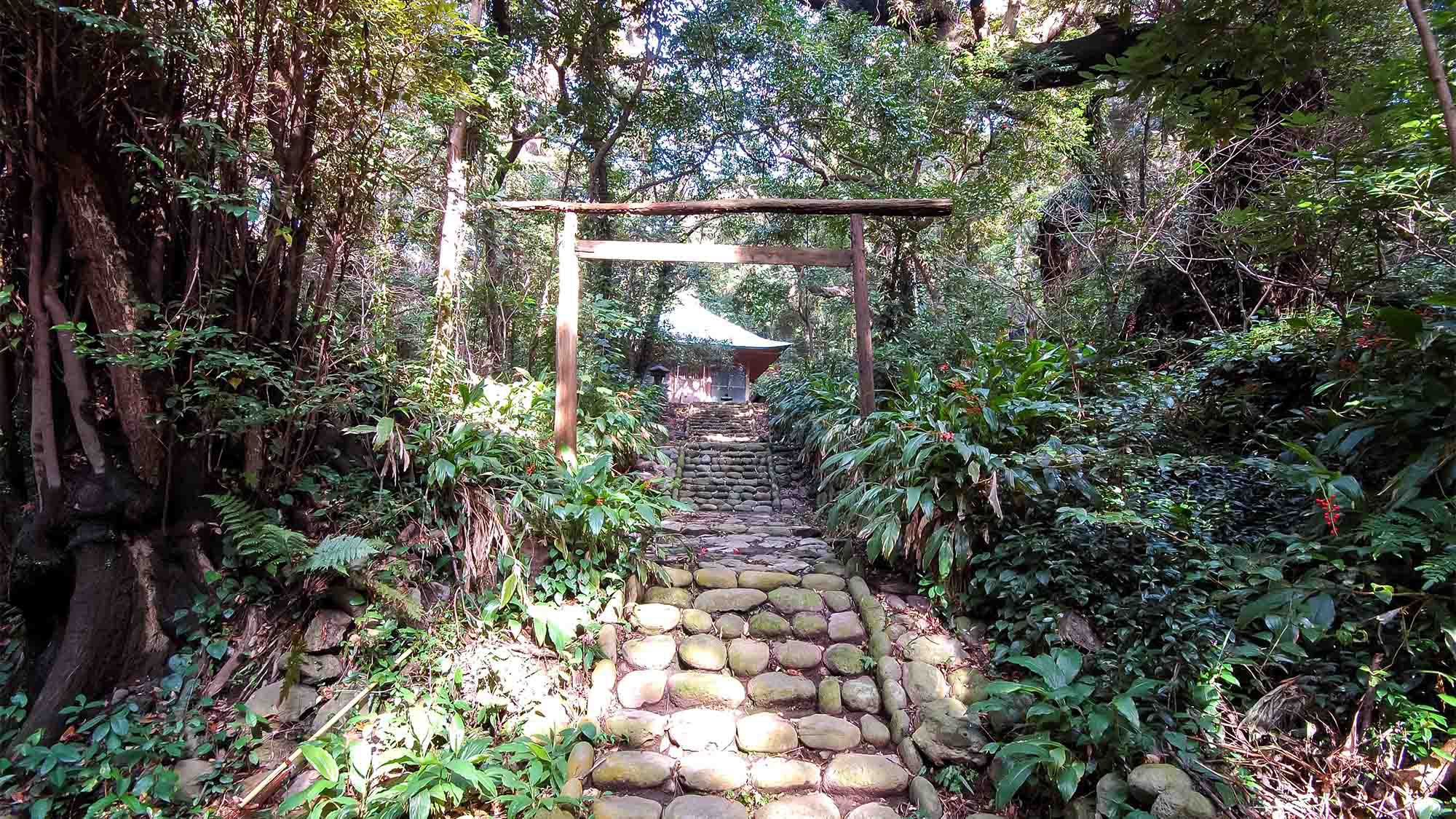 ・御祭神社杜に囲まれ神聖な空気が漂います