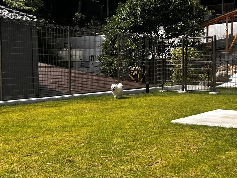 【ヴィラ別邸】 Siki -秋-（愛犬とご宿泊可）プライベートドッグラン