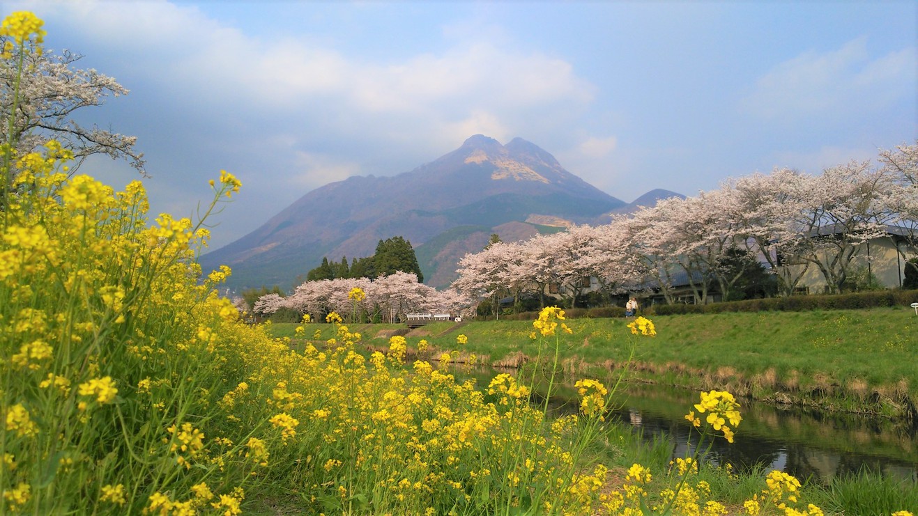 【観光情報】春の由布岳