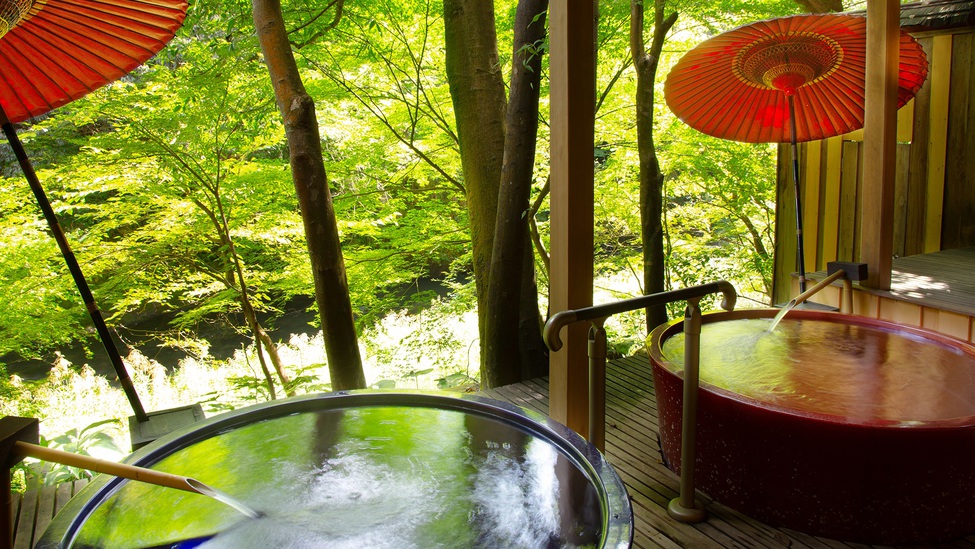 白鳥の湯野天風呂