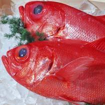 近海産「地金目」