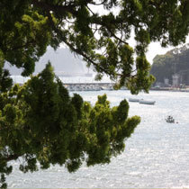 宿からの風景子浦の海
