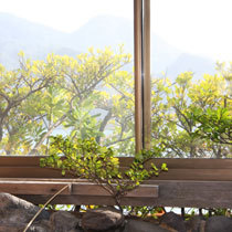 お風呂からの風景１