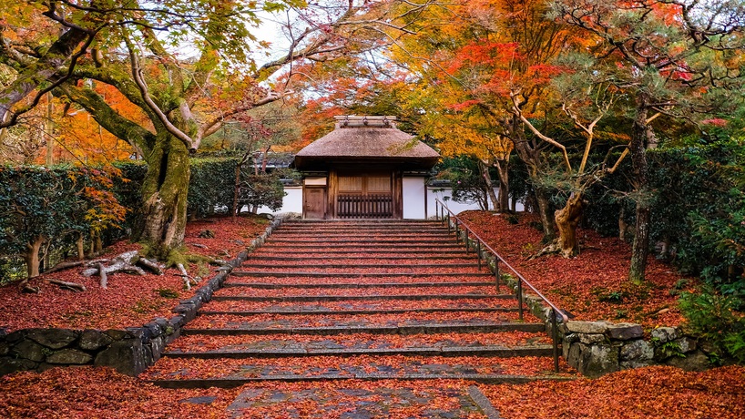 【安楽寺】秋の特別早朝拝観プラン