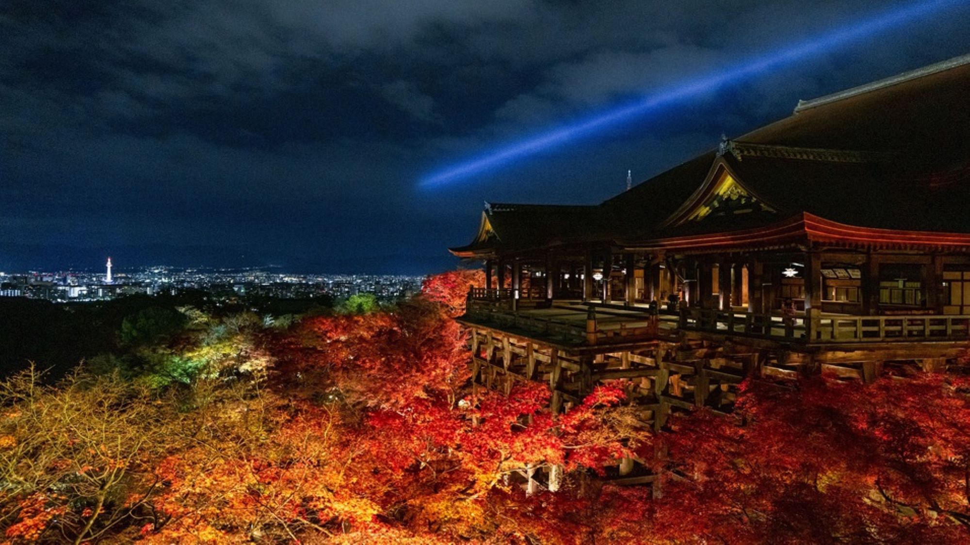 【世界文化遺産清水寺】一夜限りの特別夜間拝観プラン