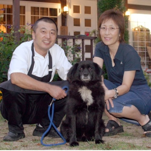 看板犬べあ〜君とその他