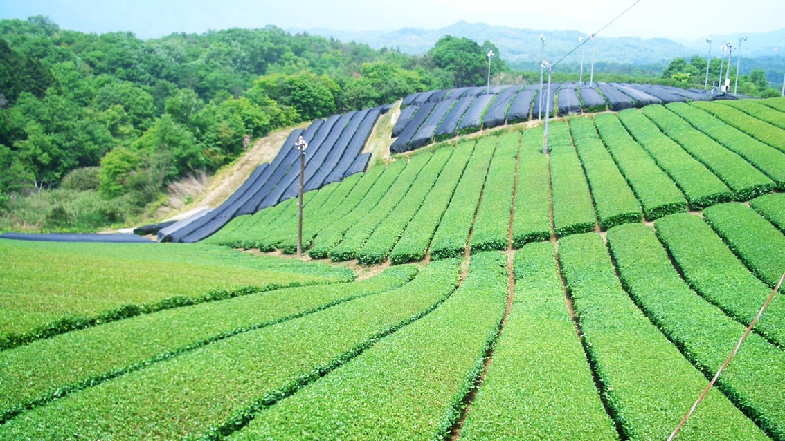 民宿 童仙房山荘のnull