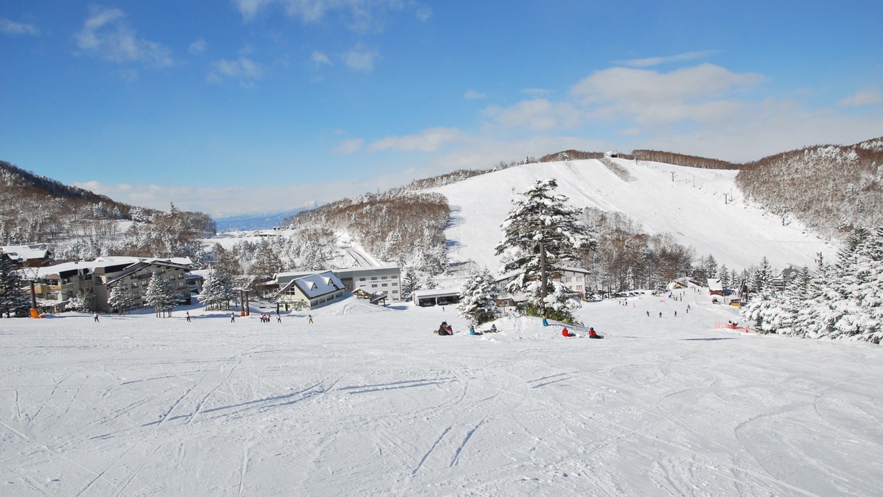 *志賀高原スキー場/志賀高原でも人気の一の瀬ファミリー。当館前のタンネの森から連絡コースがございます