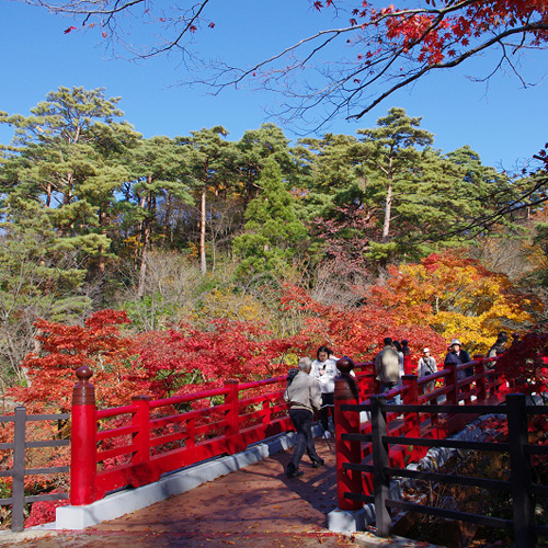 弥彦公園もみじ谷/観月橋