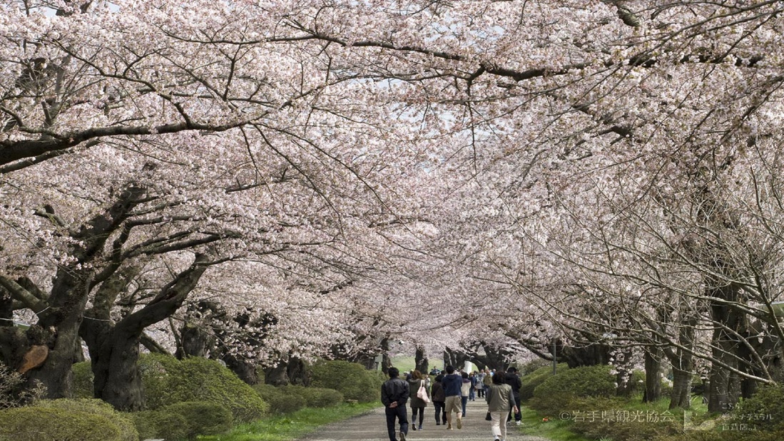 北上展勝地【岩手県観光協会様】