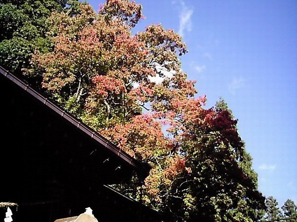 Super Hotel Yamagata Station West Hot Spring