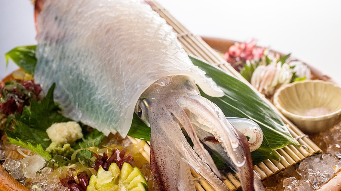 【活イカの姿造り】香住・夏の味覚「活イカ」のコリコリ食感を味わう！